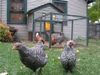 Cosas del patio trasero (semana del 16/agosto/2010) patio_trasero_IS-ARQuitectura