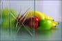 paneles-translucidos-resina-PTEG-Berman_Glass