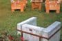 sillon-LC2-Le_Corbusioer-version-hormigon por Stefan Zwicky