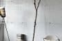 vinilos-decorativos-concrete_wall-hormigon_visto