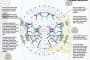 esquema-bioclimatico-casa-ecologica-Naomi_Campbell