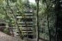 Ring-House-casa-vidrio-madera