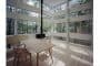 Ring-House-casa-vidrio-madera