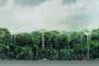 render-refugios-colgantes-selva