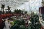 interior invernaderos-gardens_by_the_Bay