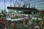 interior invernaderos-gardens_by_the_Bay