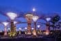 supertree-grove-gardens_by_the_Bay