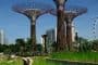 GARDENS BY THE BAY supertree grove