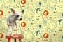 circus-dog-papel-pintado-infantil
