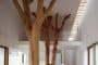 Garden-Tree-House-arboles-salon