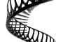 render-escaleras-Vertebrae