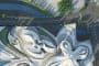 vista superior Centro-Arte-Cultura-Changsha-Zaha_Hadid