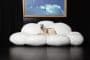 CIRRUS-sofa-forma-nube
