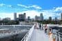 paseos-muelle-San_Petersburgo-Florida