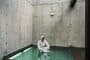ultima-planta-Vertical-Glass-House