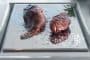 cocina-Amibis-acero-inoxidable-placa-teppanyaki