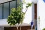Guaiume-House-escalera-acceso