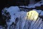 OLIS-lampara-LED-en-la-nieve