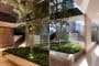 Casa-ML-interior-arbol