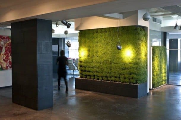 oficinas con vegetación, incluso en muros