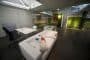 Decoracion-Oficinas-con-paredes-musgo