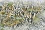 plan-urbanistico-suzhou-creek