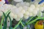 grava-y-plantas-fondo-marino-hecho-con-globos