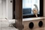 paso gatos en apartamento reformado