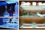 Eluma marco de aluminio con led