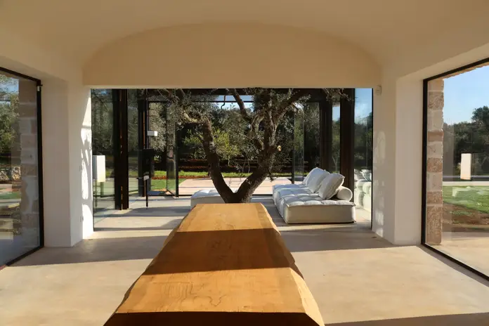 sala de estar con olivo